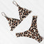 Gina Two-Piece Bikini Set