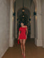 Sorelle Twist Mini Dress
