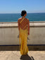 Seraphine Backless Maxi Dress