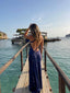 Seraphine Backless Maxi Dress