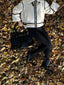 The Elara Coat