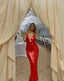 Seraphima Sequin Maxi Dress